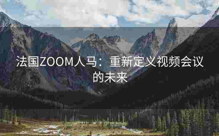 法国ZOOM人马：重新定义视频会议的未来