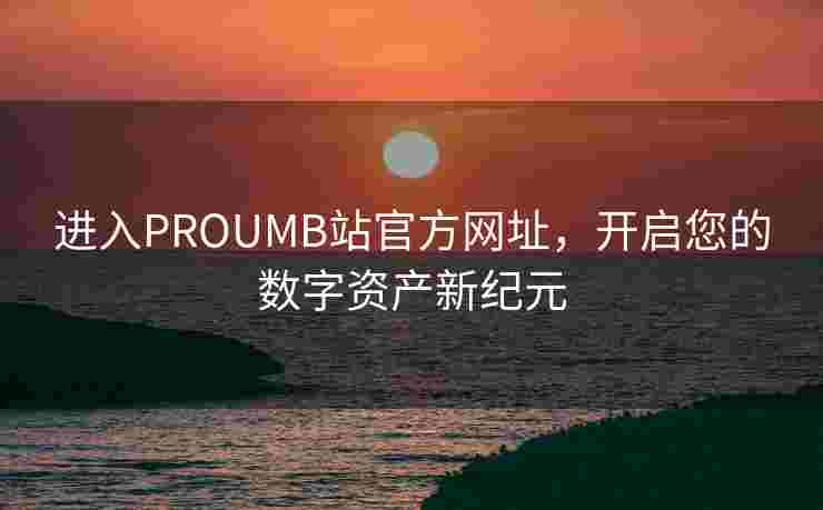 进入PROUMB站官方网址，开启您的数字资产新纪元