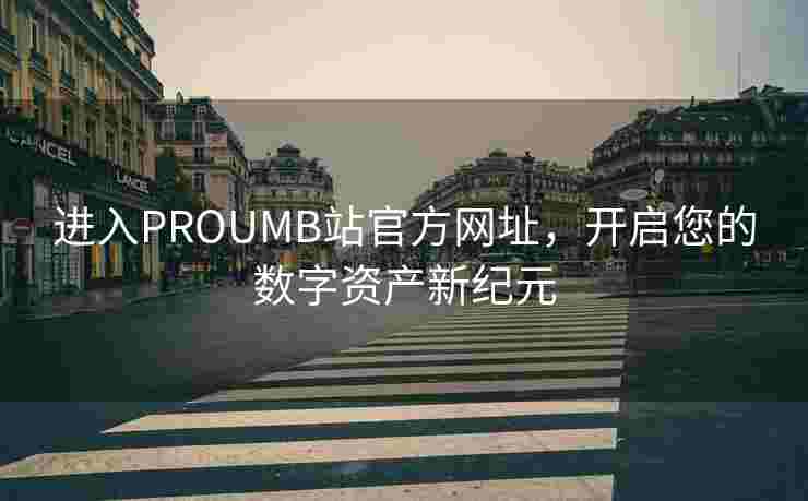 进入PROUMB站官方网址，开启您的数字资产新纪元