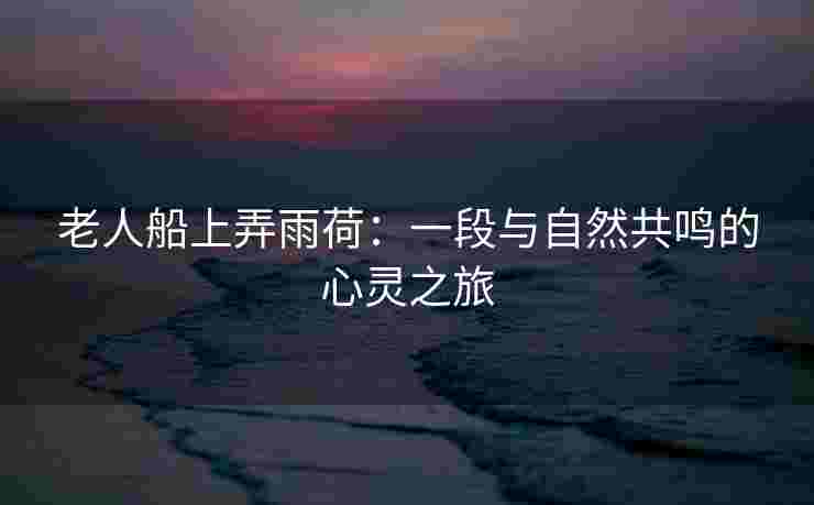 老人船上弄雨荷：一段与自然共鸣的心灵之旅