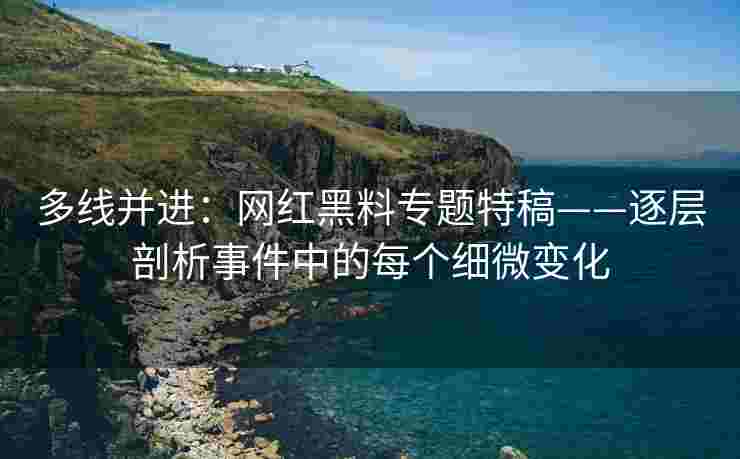多线并进：网红黑料专题特稿——逐层剖析事件中的每个细微变化