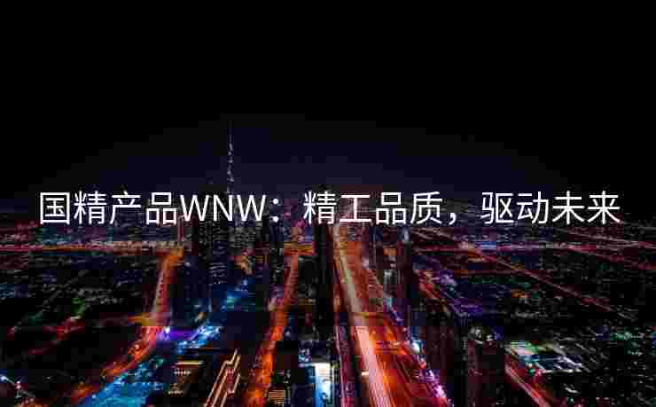 国精产品WNW：精工品质，驱动未来
