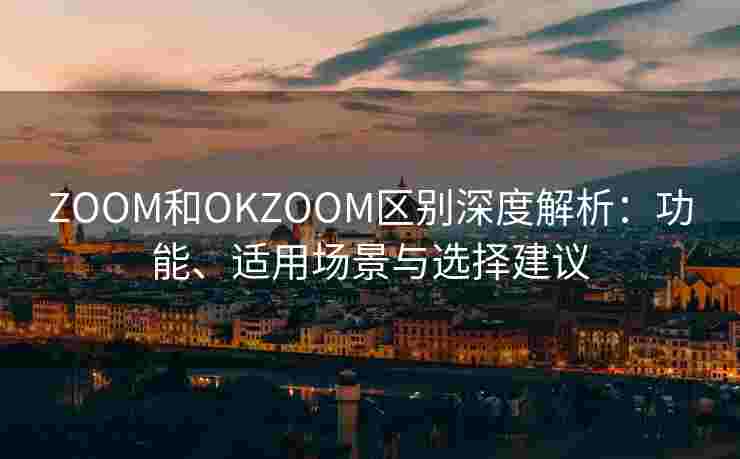 ZOOM和OKZOOM区别深度解析：功能、适用场景与选择建议